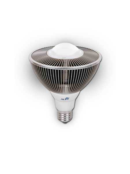 Aeon Lighting PAR38 Asteria Series 30W Bulb IP68