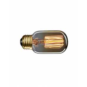 cwi-lighting_t45-sc13-edison-bulb