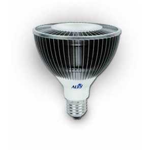 Aeon Lighting PAR30 Asteria Series 15W Bulb IP68